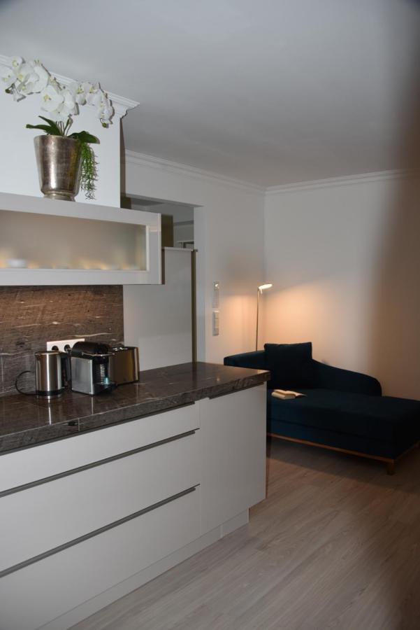 Antike & Modern Deluxe 2 Mit Terrasse Apartment Leipheim Bagian luar foto